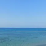 Belvedere トラーパニ