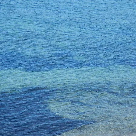 Belvedere تراباني