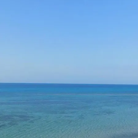 Belvedere تراباني